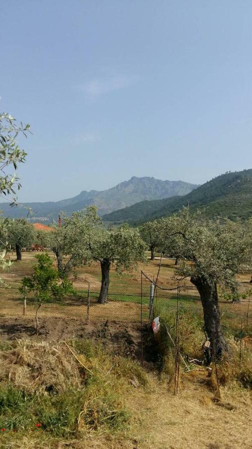 Ferienwohnung Vlachogiannis EL Estate Skala Rachoni  Exterior foto