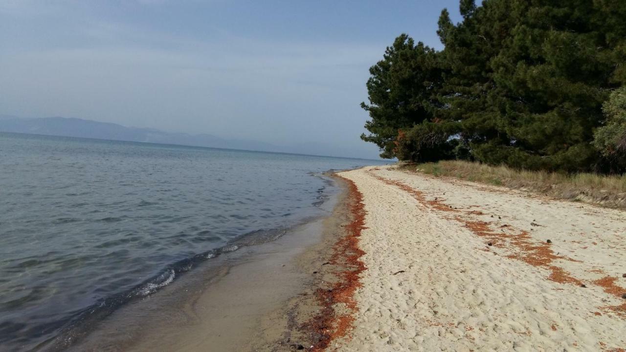 Ferienwohnung Vlachogiannis EL Estate Skala Rachoni  Exterior foto
