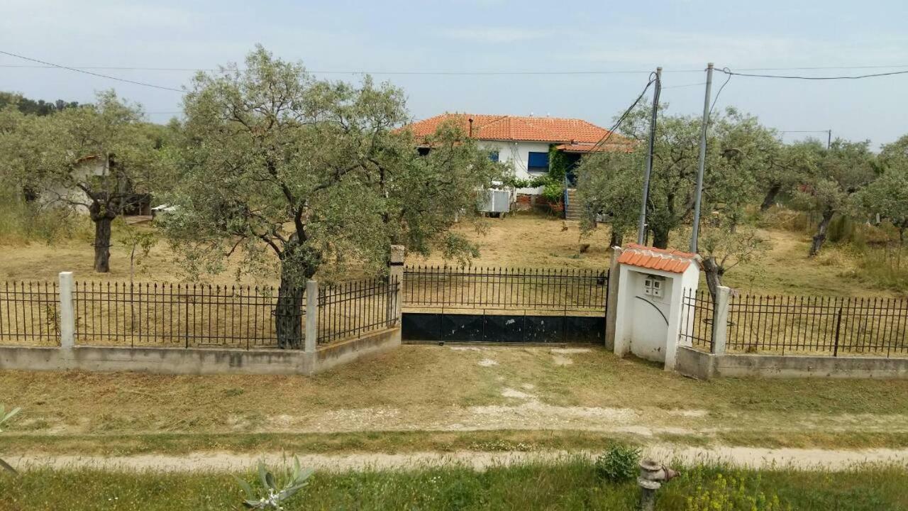 Ferienwohnung Vlachogiannis EL Estate Skala Rachoni  Exterior foto