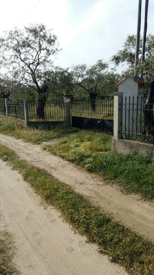 Ferienwohnung Vlachogiannis EL Estate Skala Rachoni  Exterior foto