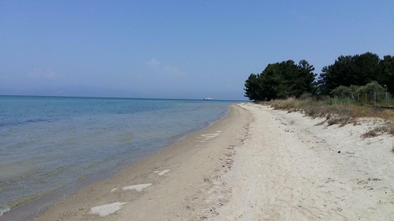 Ferienwohnung Vlachogiannis EL Estate Skala Rachoni  Exterior foto