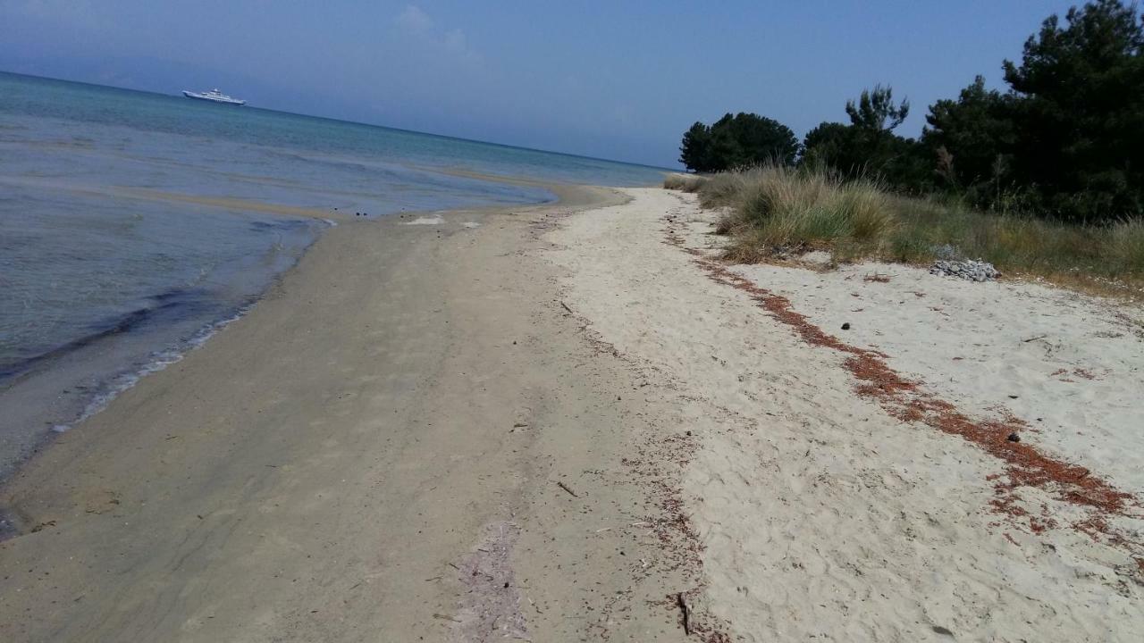 Ferienwohnung Vlachogiannis EL Estate Skala Rachoni  Exterior foto