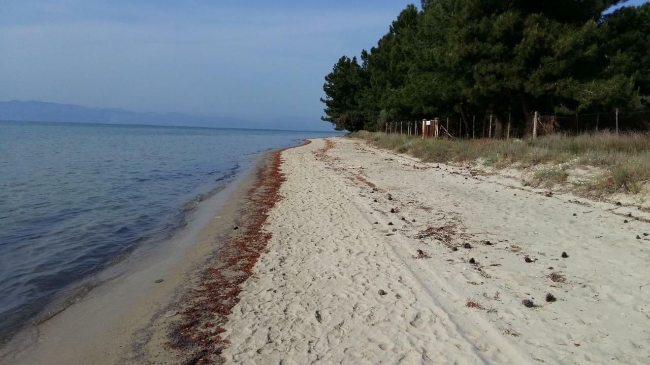 Ferienwohnung Vlachogiannis EL Estate Skala Rachoni  Exterior foto