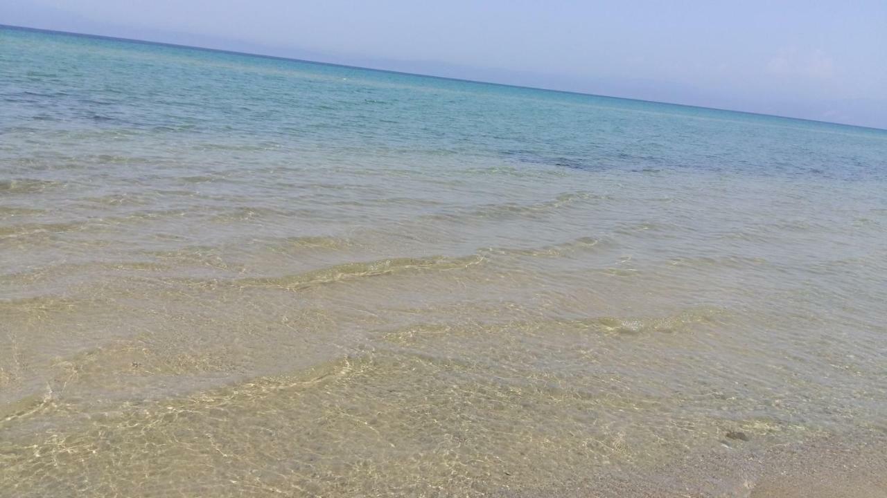 Ferienwohnung Vlachogiannis EL Estate Skala Rachoni  Exterior foto